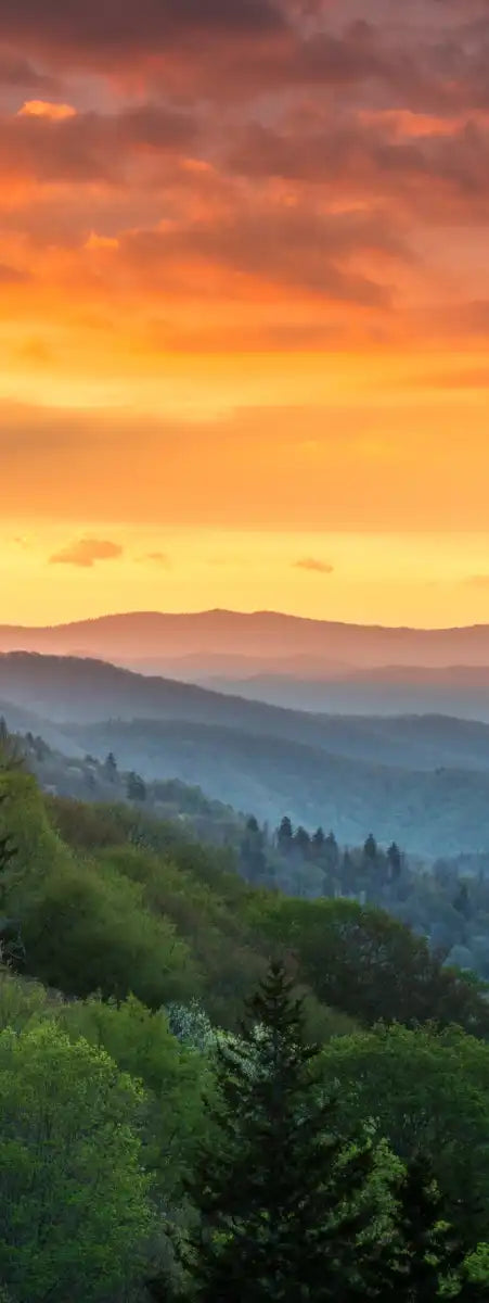 Mountain Sunrise Wall Art