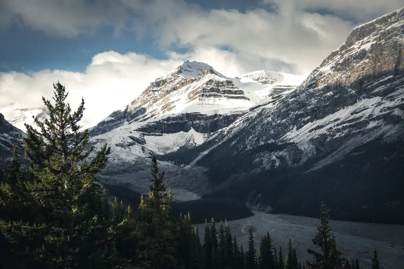 Mountain Top Wall Art