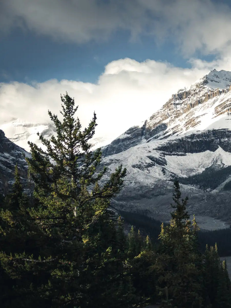 Mountain Top Wall Art
