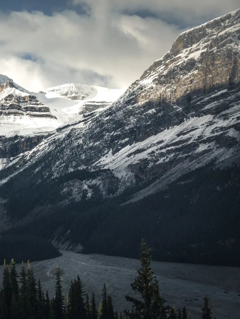 Mountain Top Wall Art