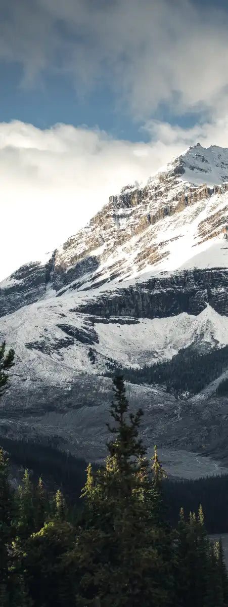 Mountain Top Wall Art
