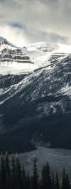 Mountain Top Wall Art