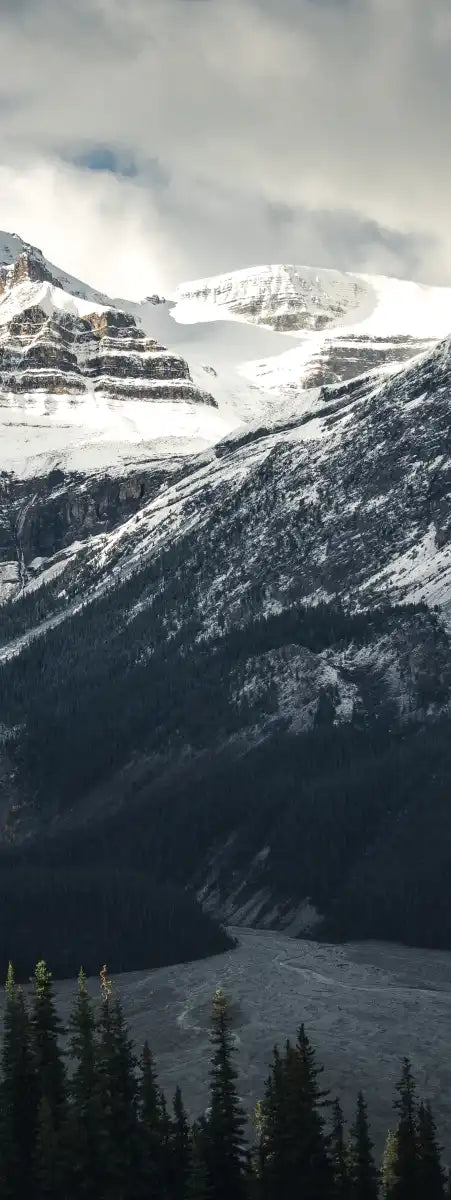 Mountain Top Wall Art