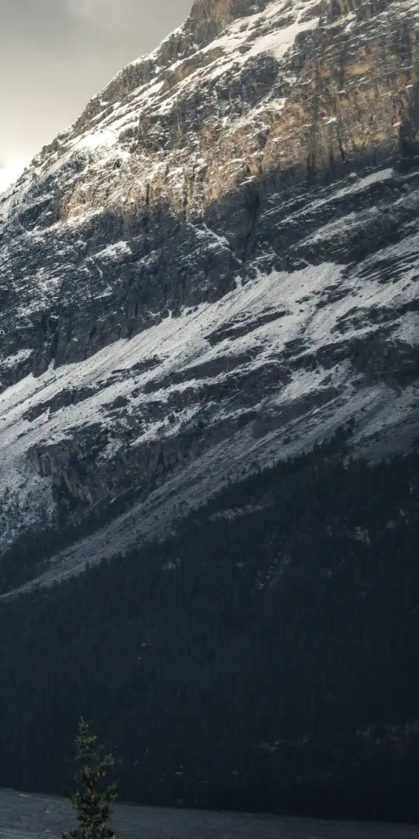 Mountain Top Wall Art