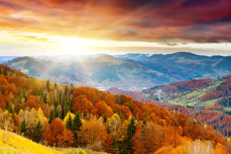 Mountain With Trees Wall Art