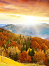 Mountain With Trees Wall Art