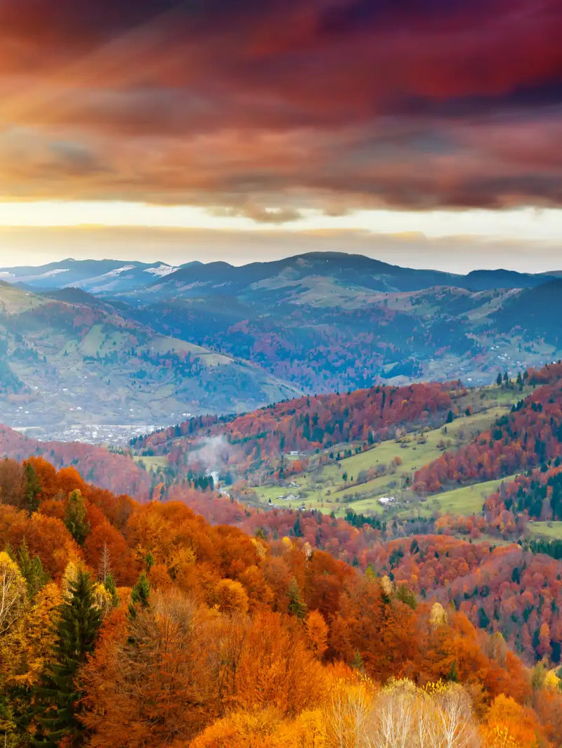 Mountain With Trees Wall Art