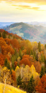 Mountain With Trees Wall Art