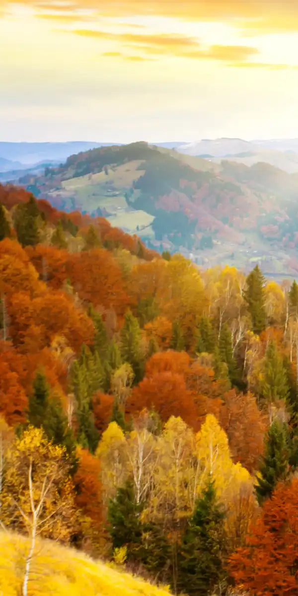 Mountain With Trees Wall Art
