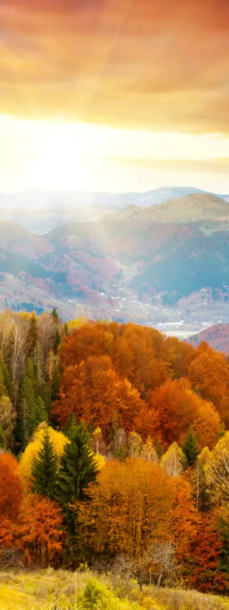 Mountain With Trees Wall Art
