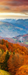 Mountain With Trees Wall Art