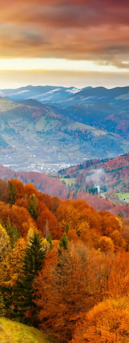 Mountain With Trees Wall Art