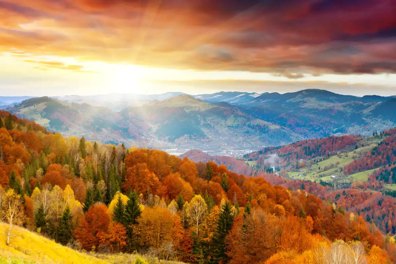 Mountain With Trees Wall Art