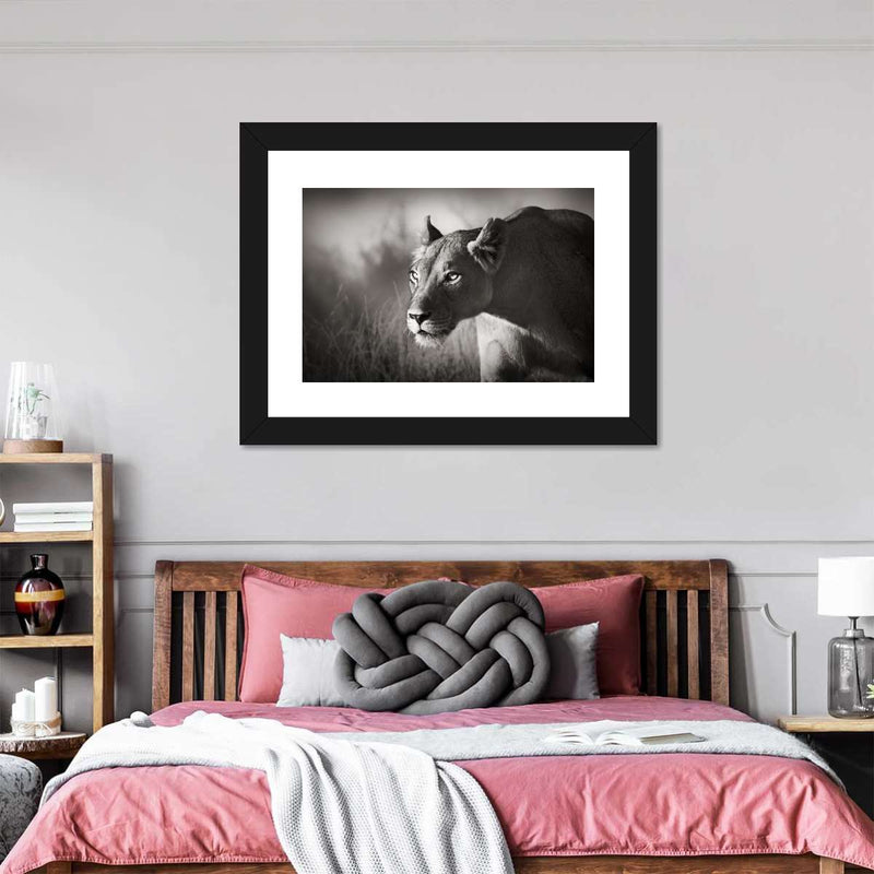 Stalking Lioness Wall Art