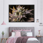 Marijuana In Winter Wall Art