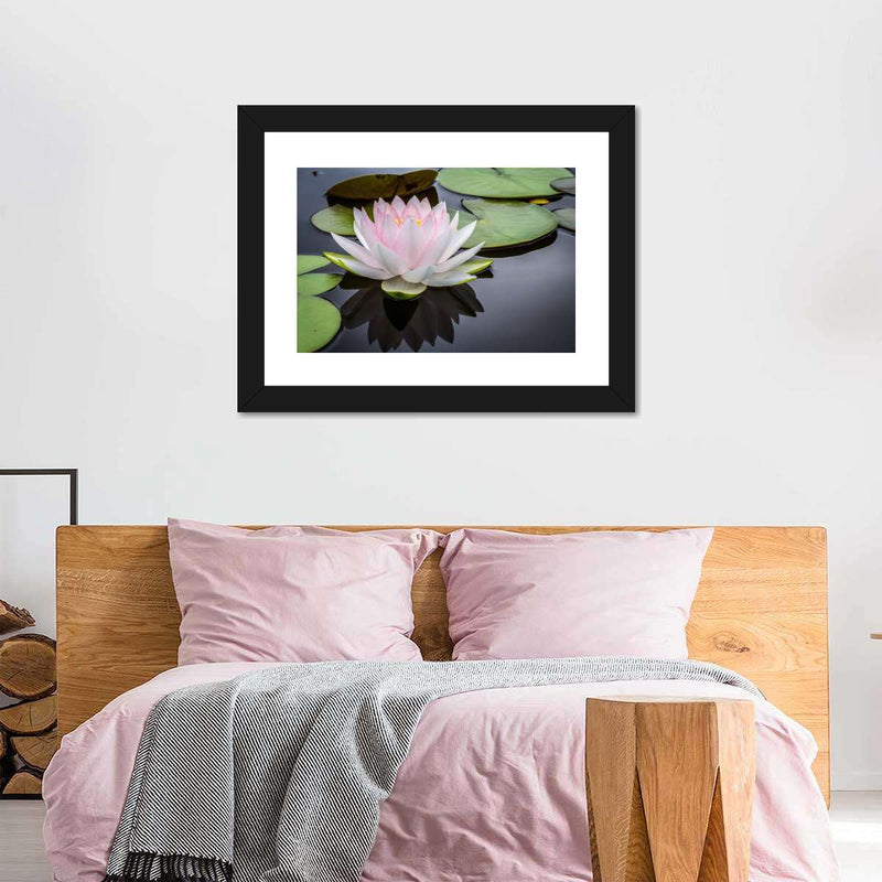 Pinkish White Lotus Wall Art