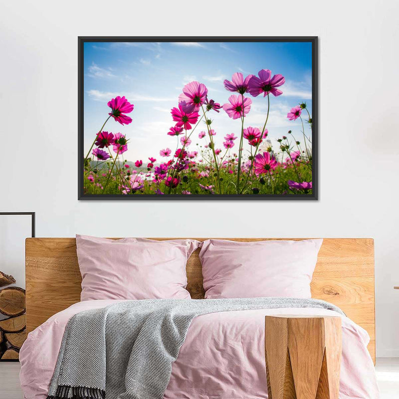 Wild Cosmos Flowers Wall Art