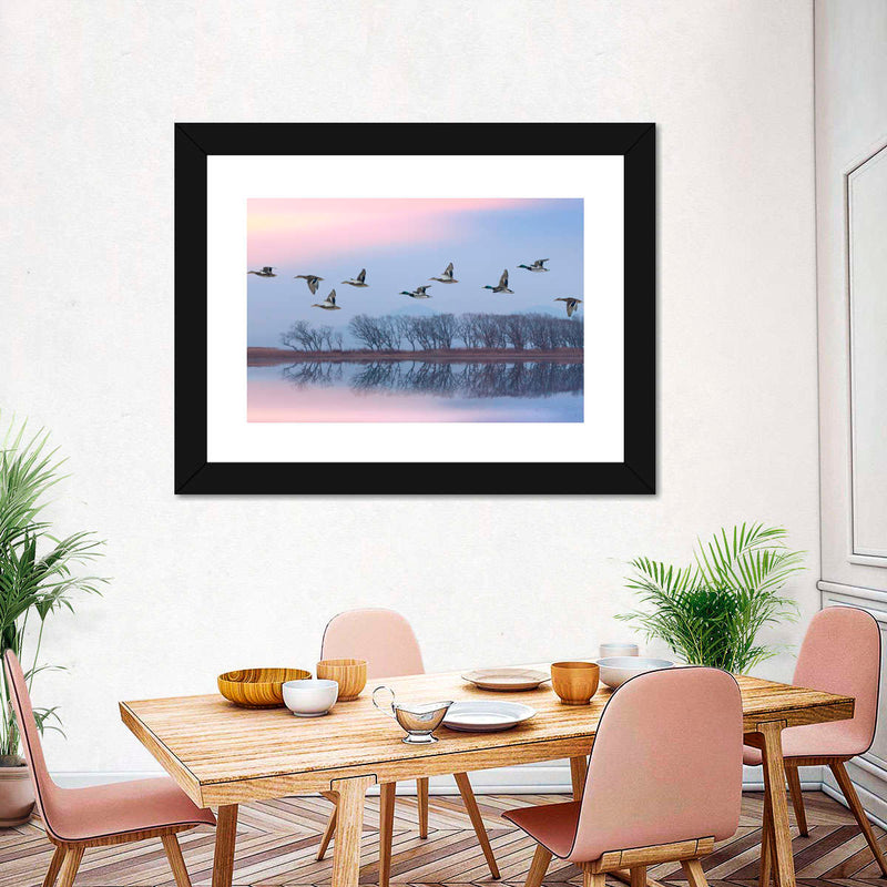 Pink Sky Over Ducks Wall Art