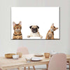 Pug And Cats Wall Art