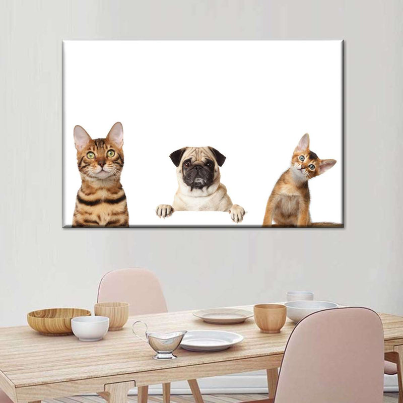 Pug And Cats Wall Art