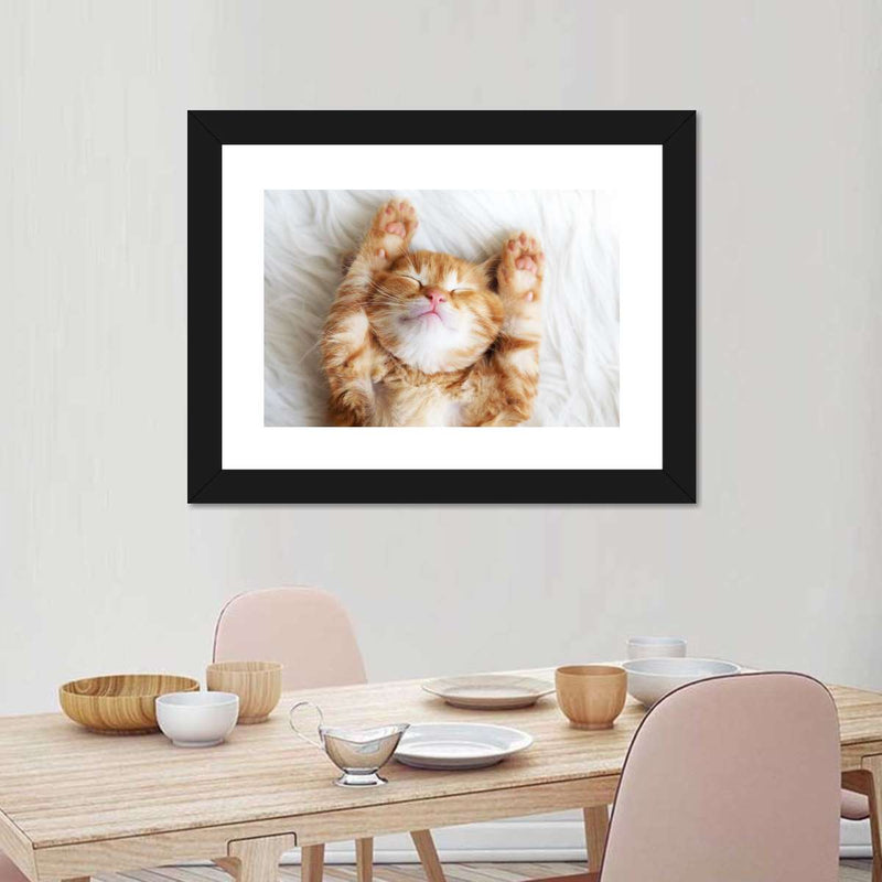 Sleepy Kitty Wall Art