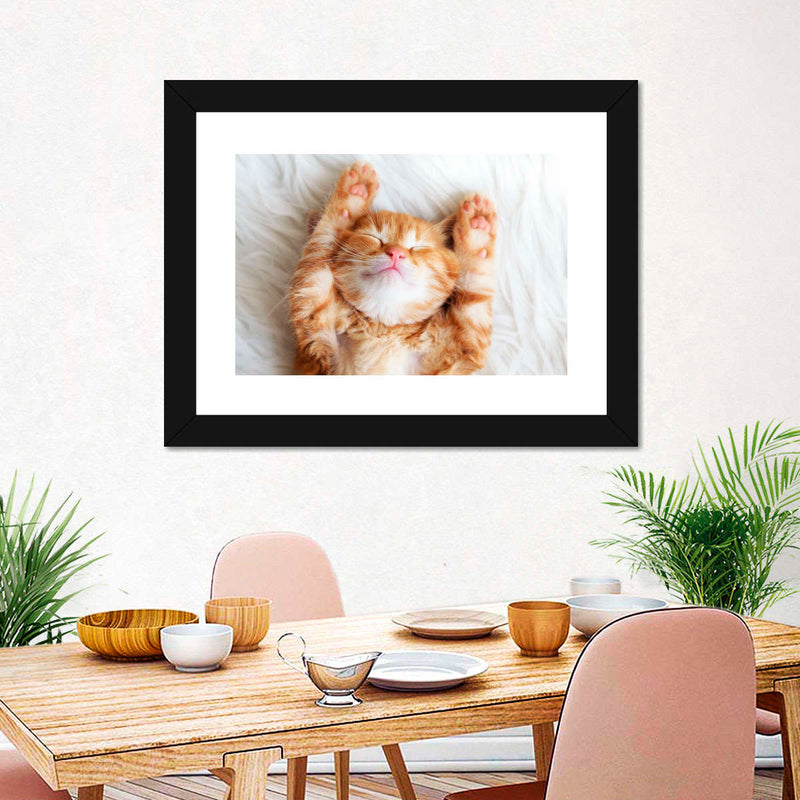 Sleepy Kitty Wall Art