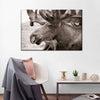 Moose Head Wall Art