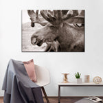 Moose Head Wall Art