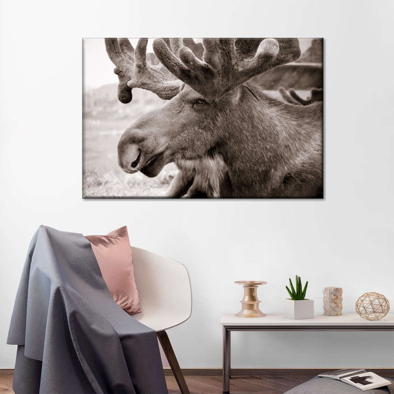 Moose Head Wall Art