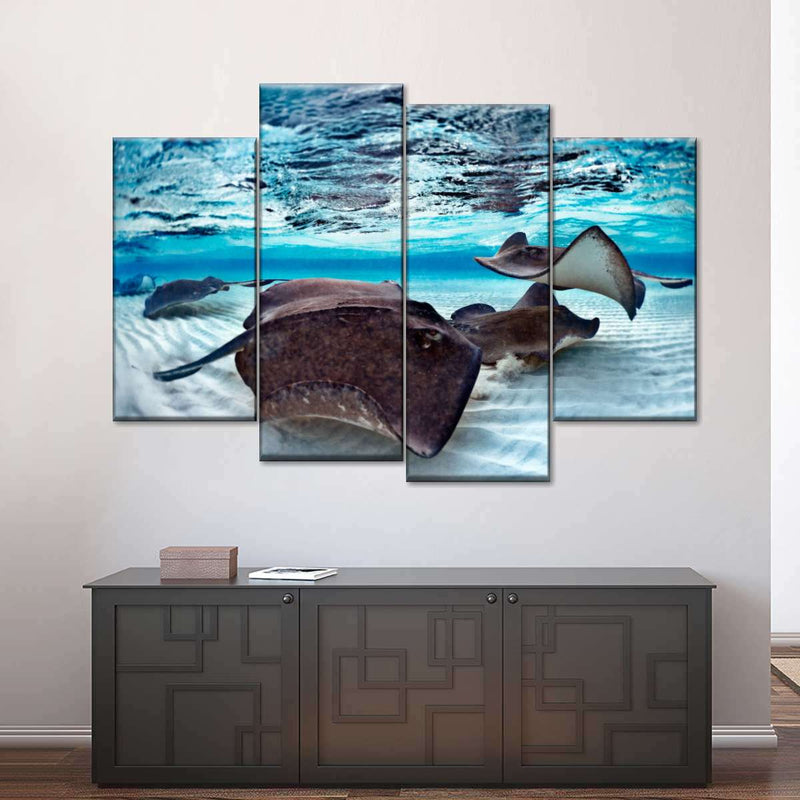 Stingrays Sea Life Wall Art