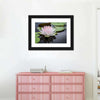 Pinkish White Lotus Wall Art