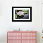 Pinkish White Lotus Wall Art