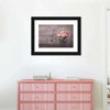 Ranunculus Bicycle Vase Wall Art
