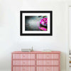 Spa Fusion Wall Art