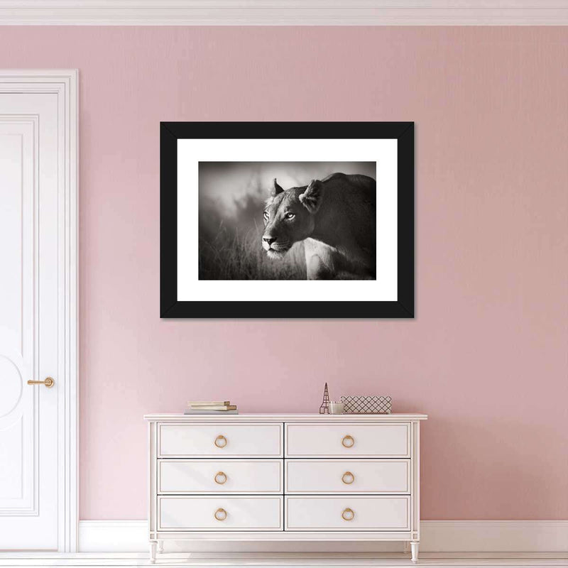 Stalking Lioness Wall Art