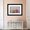 Nautical Starfish Duo Wall Art