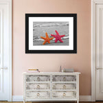 Nautical Starfish Duo Wall Art