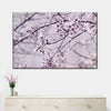 Pastel Sakura Wall Art