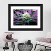 Rare Cannabis Plant Wall Art