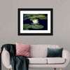 Lotus And Leaves Wall Art