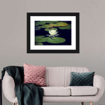 Lotus And Leaves Wall Art