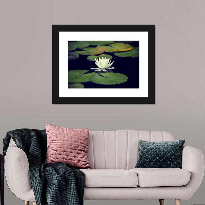 Lotus And Leaves Wall Art