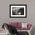 Stalking Lioness Wall Art