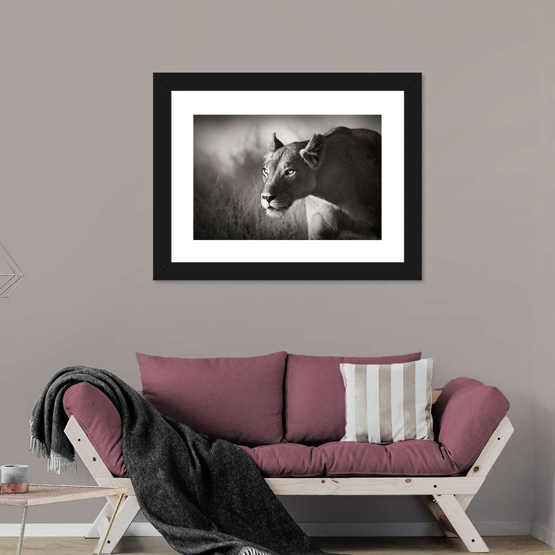 Stalking Lioness Wall Art