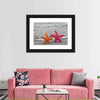 Nautical Starfish Duo Wall Art