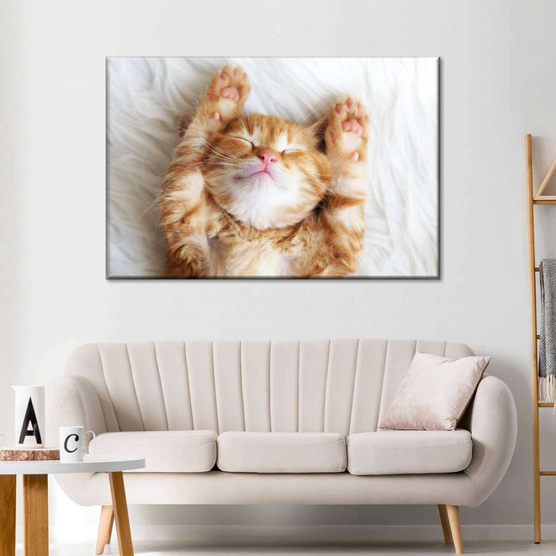 Sleepy Kitty Wall Art