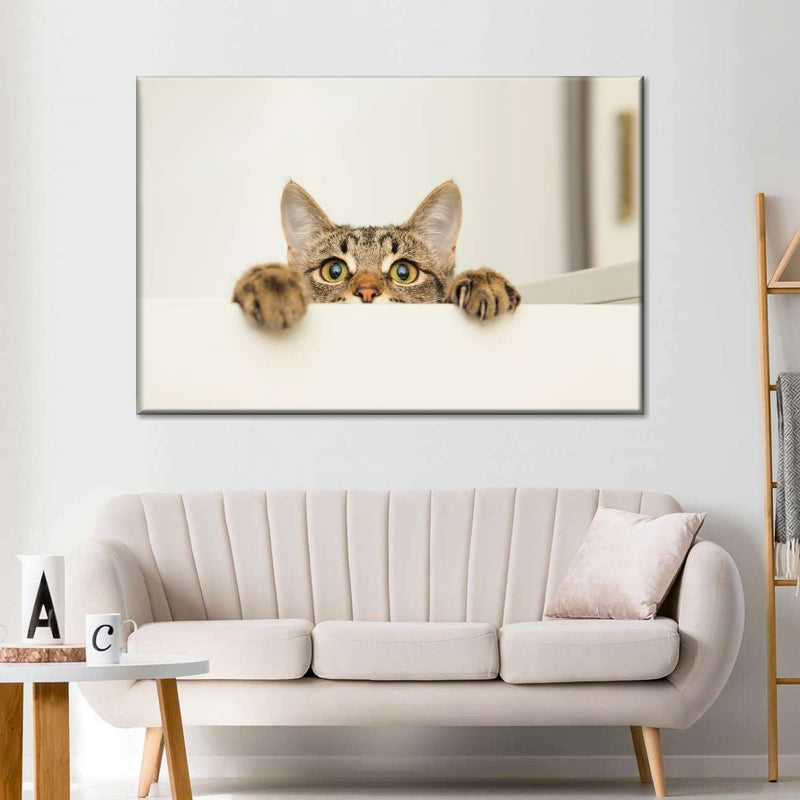 Peeking Young Cat Wall Art