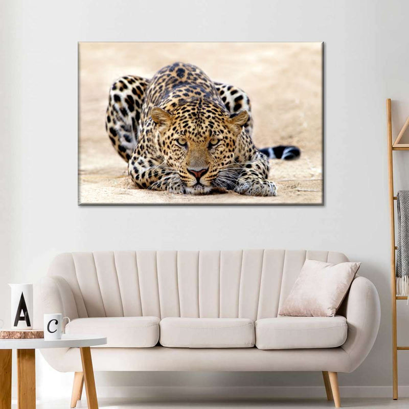 Watchful Jaguar Wall Art