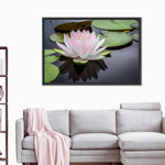 Pinkish White Lotus Wall Art