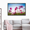Wild Cosmos Flowers Wall Art